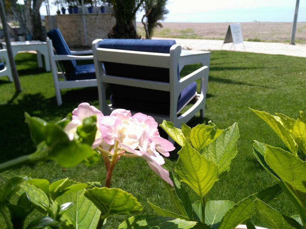 Palmiye Hotel Özdere Exterior foto